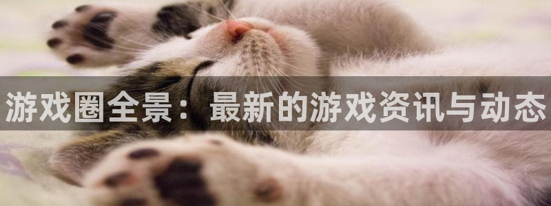 杜邦娱乐登录：游戏圈全景：最新的游戏资讯与动态