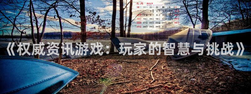 杜邦娱乐登陆：《权威资讯游戏：玩家的智慧与挑战》