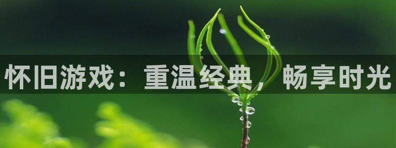 杜邦娱乐手机网页版登录：怀旧游戏：重温经典，畅享时光