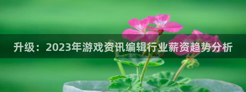 杜邦娱乐官网登录：升级：2023年游戏资讯编辑行业薪资趋势分