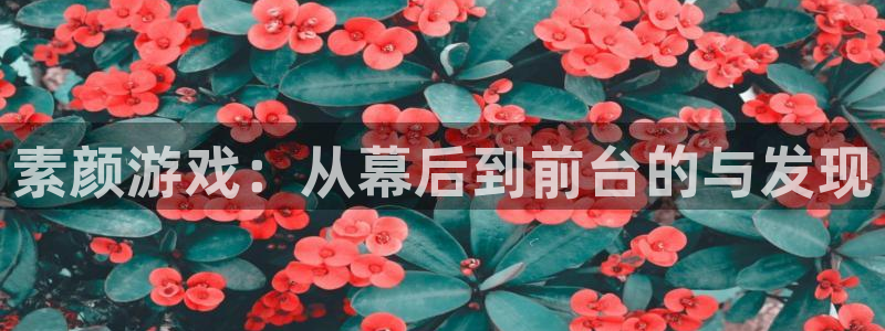 杜邦娱乐平台注册开户：素颜游戏：从幕后到前台的与发现