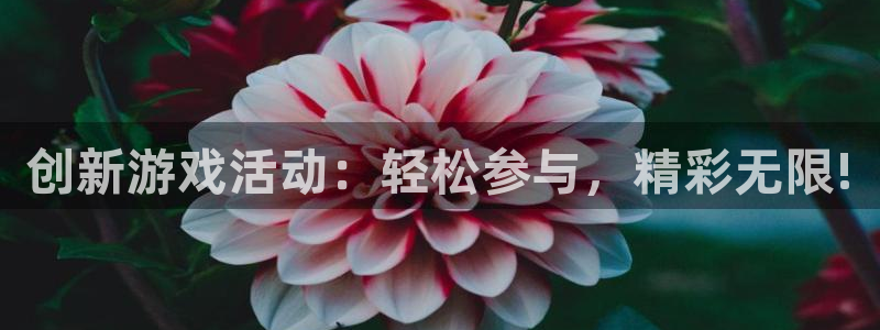 杜邦娱乐官方登录网址：创新游戏活动：轻松参与，精彩无限!