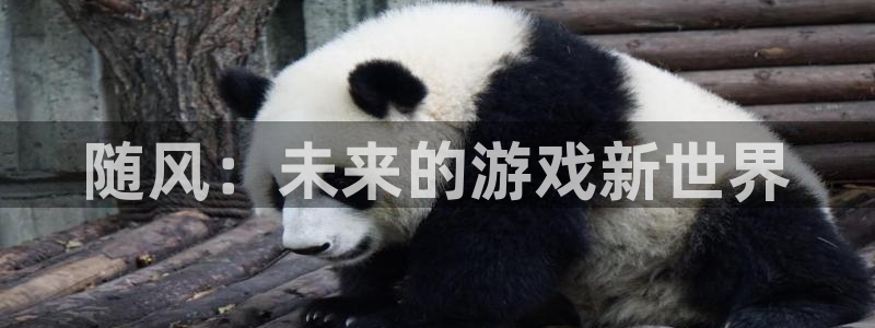 杜邦娱乐网址注册：随风：未来的游戏新世界