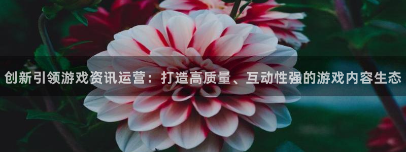 杜邦娱乐官网：创新引领游戏资讯运营：打造高质量、互动性强的游