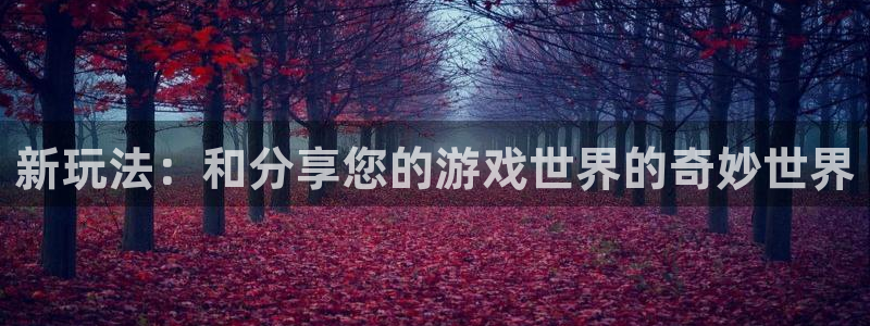 杜邦娱乐的意思：新玩法：和分享您的游戏世界的奇妙世界