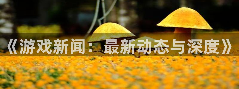 杜邦娱乐测速：《游戏新闻：最新动态与深度》