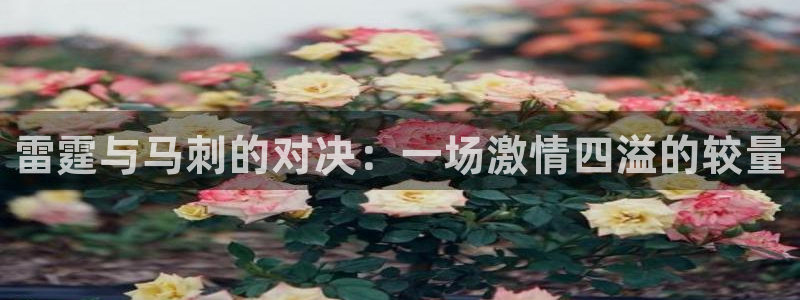 鲸鱼体育tv送红红单v3.红单足球.top：雷霆与马刺的对决：一场激情四溢的较量