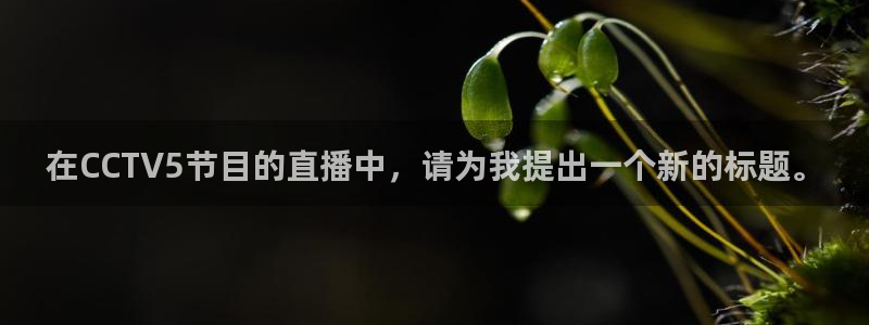 鲸鱼体育官网：在CCTV5节目的直播中，请为我提出一个新的标题。