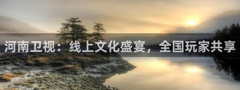 鲸鱼体育直播live：河南卫视：线上文化盛宴，全国玩家共享