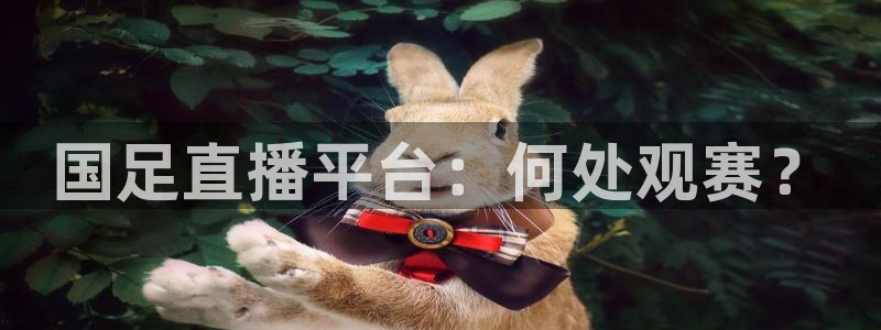 cc68tv鲸鱼体育：国足直播平台：何处观赛？