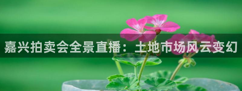 鲸鱼体育tv版下载：嘉兴拍卖会全景直播：土地市场风云变幻