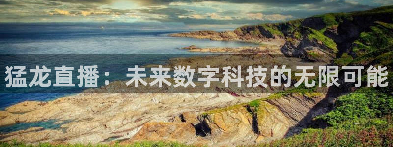 鲸鱼直播体育直播：猛龙直播：未来数字科技的无限可能